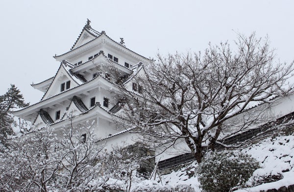 全日程催行決定🚌【名古屋発】歴史と伝統を旅する「郡上八幡・飛騨高山・白川郷」3古都巡り満喫日帰りバスツアー2